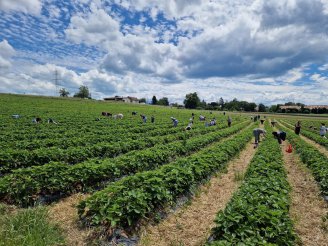 Ouvert le mercredi 21 mai 2025, 08h00 - 18h00